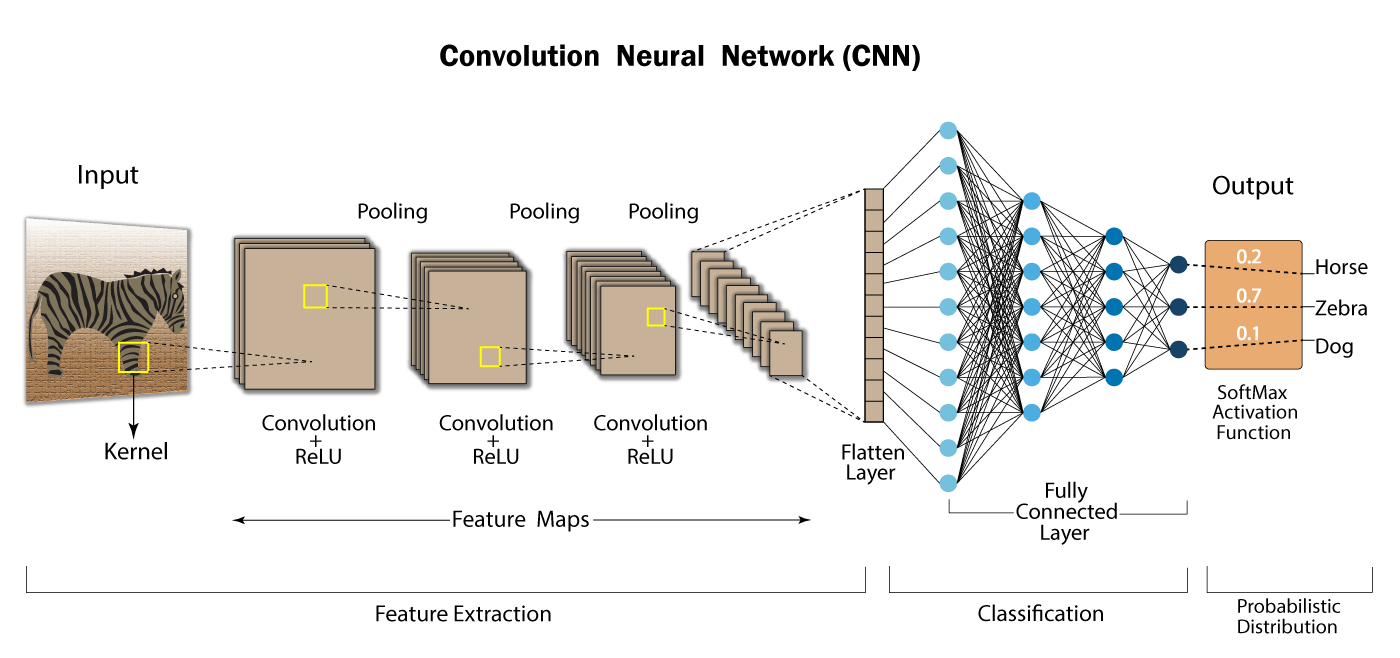 Diagram illustrating the Convolutional Neural Network